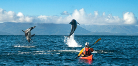 Kayak Agua Fresca