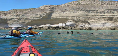 Kayak en Puerto Pirámides