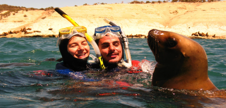 Snorkeling con Lobos