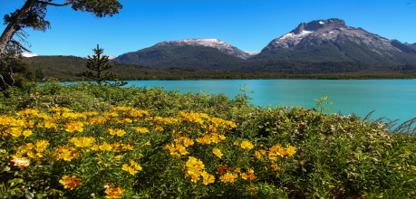 Cerro Tronador