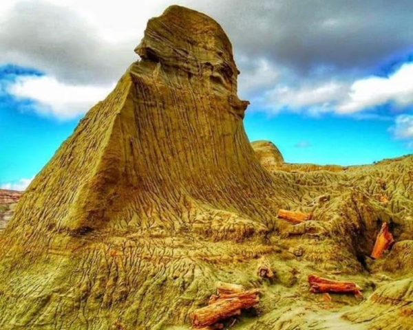 BOSQUE PETRIFICADO SARMIENTO