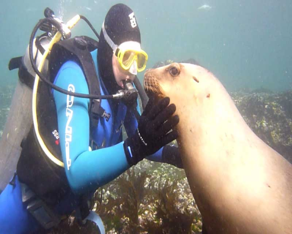 BAUTISMO BUCEO