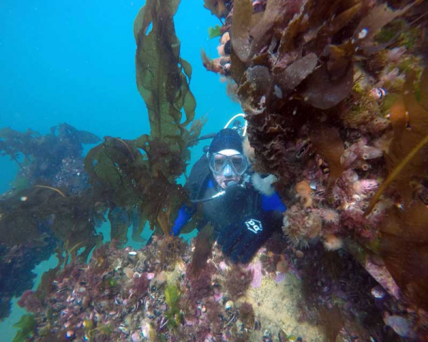 BAUTISMO BUCEO