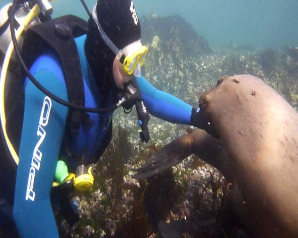 BAUTISMO BUCEO