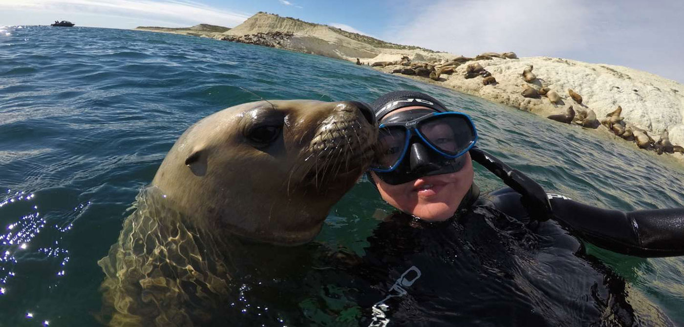 Snorkelling con Lobos Marinos en Punta Loma